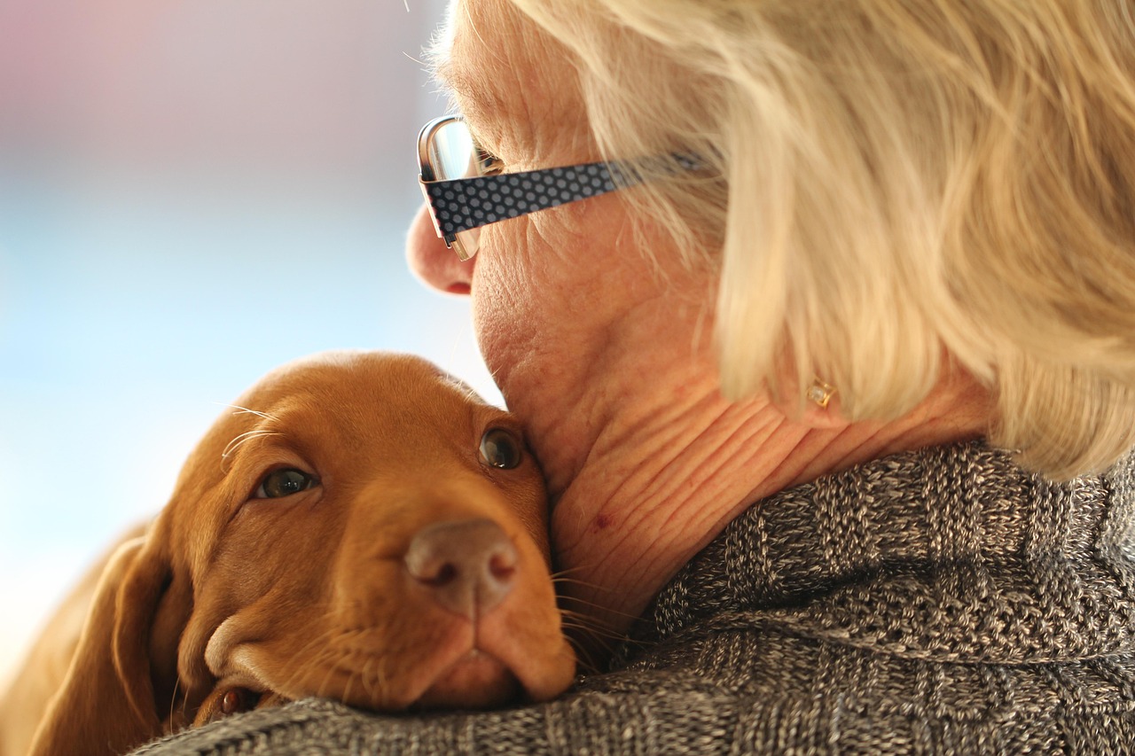 young, old, puppy, cute, love, dog, hug, vizsla, woman, elderly, close up, together, hug, vizsla, elderly, elderly, elderly, elderly, elderly