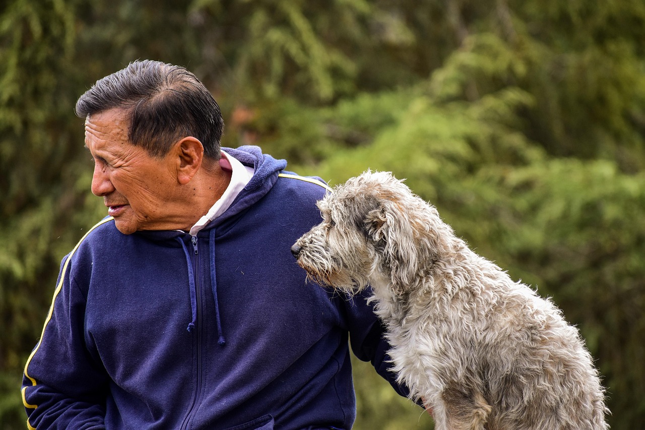 older, pet, dog, old man with his dog, animal, pet with its master